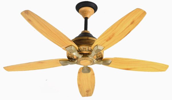Pak Punjab Desire Teakwood Gold